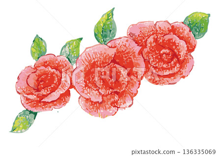 玫瑰插畫素材。向量圖素材 136335069
