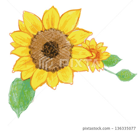 vector, vectors, watercolour 136335077