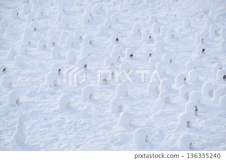 Yokote Kamakura Festival Mini Kamakura Yokote Kamakura Festival Mini Kamakura 136335240