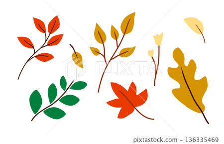 Set of colorful autumn leaves in flat vector style Set of colorful autumn leaves in flat vector style 136335469