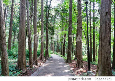 南台兒童森林公園 136335760