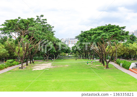 Green urban park landscape Green urban park landscape 136335821