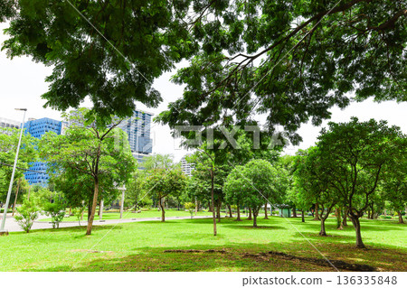 綠色城市公園景觀 綠色城市公園景觀 136335848