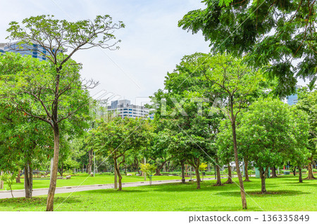 Green urban park landscape 136335849