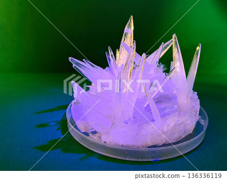 Close up view of sharp, translucent crystals forming and growing in a clear petri dish under purple and yellow lighting against a dark green background Close up view of sharp, translucent crystals forming and growing in a clear petri dish under purple and yellow lighting against a dark green background 136336119