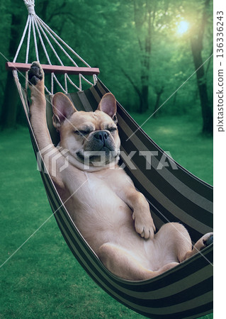 在吊床上放鬆身心 在吊床上放鬆身心 136336243