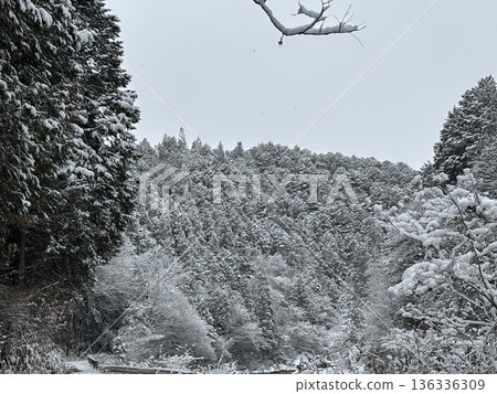 雪山 雪山 136336309