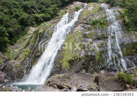 Okawa waterfall of Yakushima Okawa waterfall of Yakushima 136336363