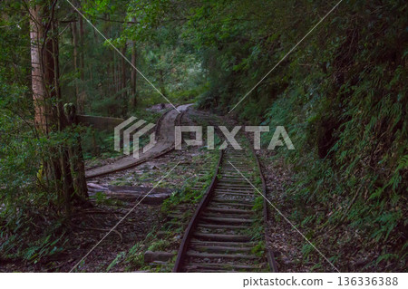 Yakushima trolley trail Yakushima trolley trail 136336388