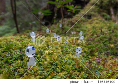 屋久島的苔蘚森林與木靈 屋久島的苔蘚森林與木靈 136336400