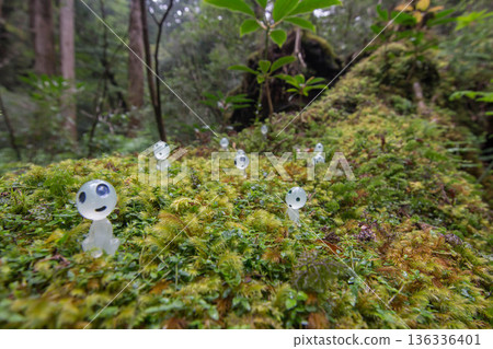 Moss and Echoes of Yakushima Moss and Echoes of Yakushima 136336401