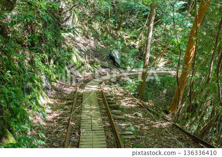 Yakushima trolley rail 136336410