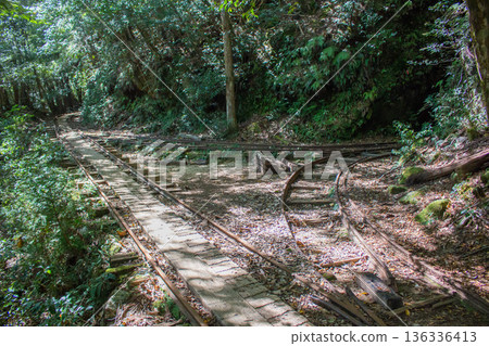 Yakushima trolley rail 136336413