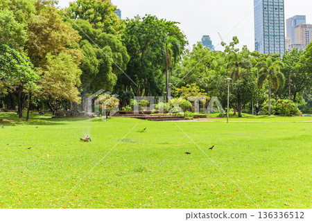 A green urban park A green urban park 136336512