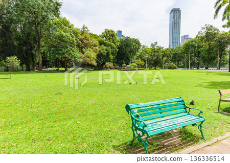 A green urban park 136336514