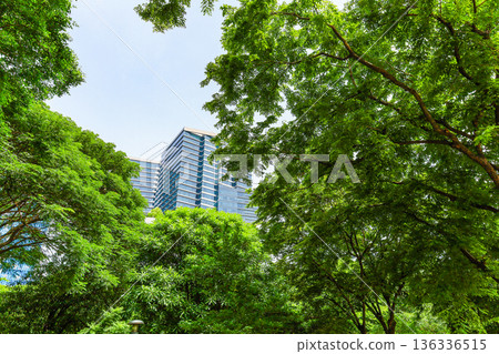 許多綠色辦公室街道風景 136336515