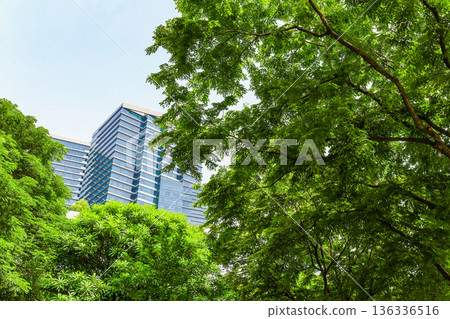 Landscape of many green office streets Landscape of many green office streets 136336516