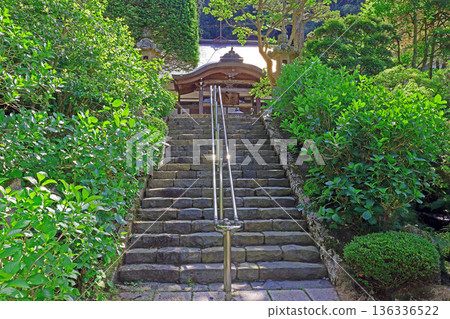 青泉寺(松本) 青泉寺(松本) 136336522