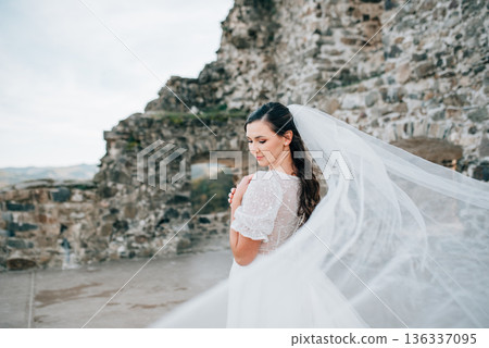 Stunning bride in a snow-white wedding dress with short sleeves. Stunning bride in a snow-white wedding dress with short sleeves. 136337095