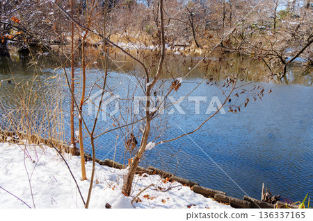 三寶池的殘雪 136337165