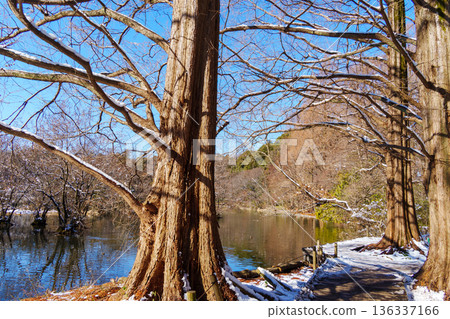 三寶池的殘雪 三寶池的殘雪 136337166