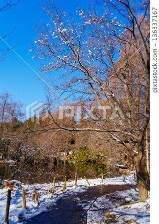 三寶池的殘雪 三寶池的殘雪 136337167