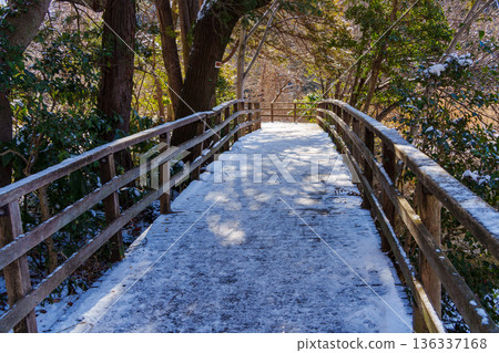 積雪覆蓋的三寶寺池和木棧道 136337168