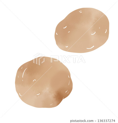 Watercolor illustration of rugged potatoes. Image cutout for agriculture and home cooking. 136337274