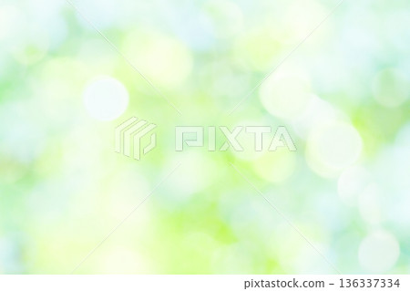 模糊的綠色背景 模糊的綠色背景 136337334
