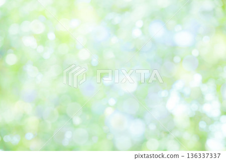 Blurred green background 136337337
