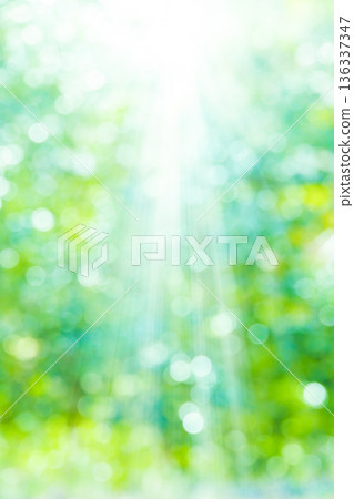 模糊的綠色背景 136337347