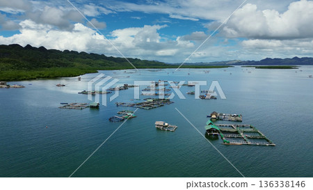 Fish farm with cages for fish and shrimp 136338146