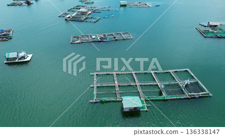 Fish farm with cages for fish and shrimp 136338147