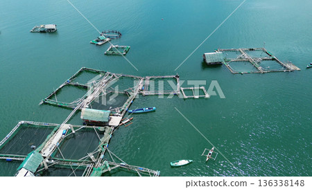 Fish farm with cages for fish and shrimp Fish farm with cages for fish and shrimp 136338148