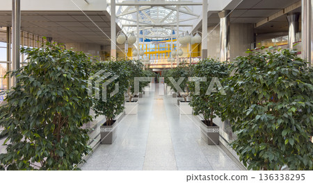 Spacious indoor gallery with symmetrical rows of green potted plants along a wide pedestrian 136338295