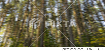 Abstract motion blur forest scene with pine tree trunks. Dynamic nature background created by camera Abstract motion blur forest scene with pine tree trunks. Dynamic nature background created by camera 136338319