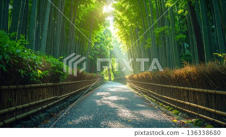 京都嵐山一條美麗的竹林小徑，陽光透過竹林灑下斑駁的光影。 136338680