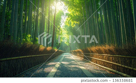 京都嵐山一條美麗的竹林小徑，陽光透過竹林灑下斑駁的光影。 136338681