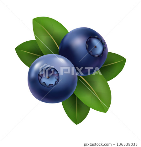 Shimmering blueberry bunches on leafy backdrop art, Colorful illustration showcasing glossy blueberries with dew and vibrant leafy surroundings for culinary presentation 136339033