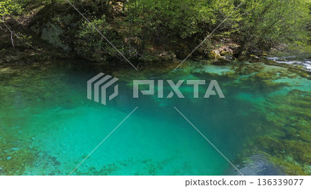 Turquoise spring water surrounded by lush green forest Turquoise spring water surrounded by lush green forest 136339077