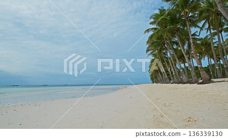 Tropical beach with white sand and palm trees Tropical beach with white sand and palm trees 136339130