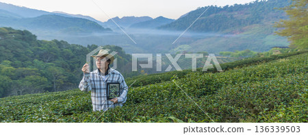 Farmer inspects tea fields. Smart farming and digital farming in Green tea industry. 136339503