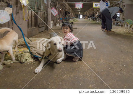[A two-year-old child playing with a dog in a barn] 136339985