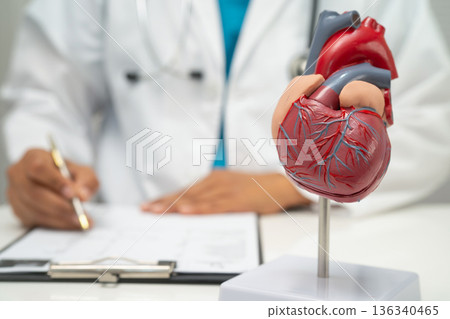 Cardiovascular disease CVD, doctor with heart human model. Cardiovascular disease CVD, doctor with heart human model. 136340465