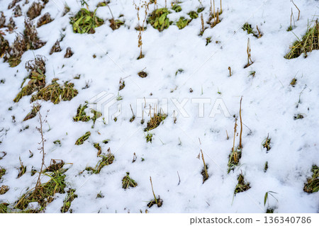 Snowy road trekking mountain climbing snow snowfall February Snowy road trekking mountain climbing snow snowfall February 136340786