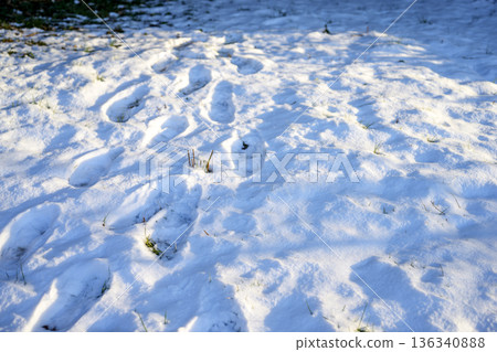 二月雪路健行登山雪景降雪 136340888