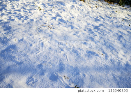 Snowy road trekking mountain climbing snow snowfall February Snowy road trekking mountain climbing snow snowfall February 136340893