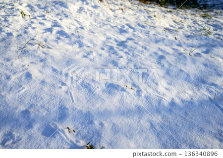 Snowy road trekking mountain climbing snow snowfall February Snowy road trekking mountain climbing snow snowfall February 136340896
