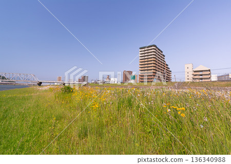 Riverbed of the Ota River Riverbed of the Ota River 136340988