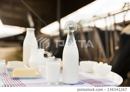 dairy products on table against the background of herd of cows in barn dairy products on table against the background of herd of cows in barn 136341267